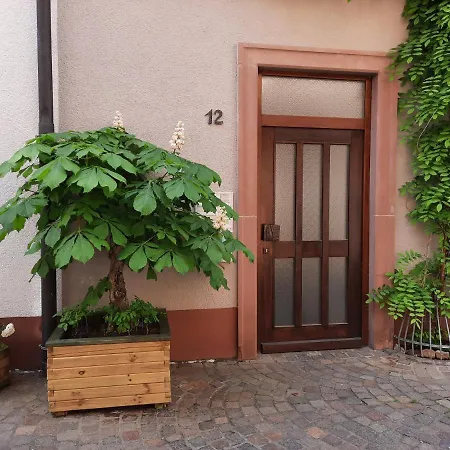 公寓 Alte Bahnhofstrasse 12 *